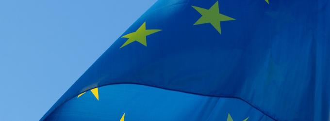 Una sentencia refuerza a la DGSFP para sancionar a entidades que operan como LPS o sucursal Una sentencia refuerza a la DGSFP para sancionar a entidades que operan como LPS o sucursal