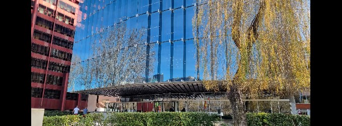 Vida está hasta 20 puntos más concentrado que No Vida entre sus primeras entidades Vida está hasta 20 puntos más concentrado que No Vida entre sus primeras entidades